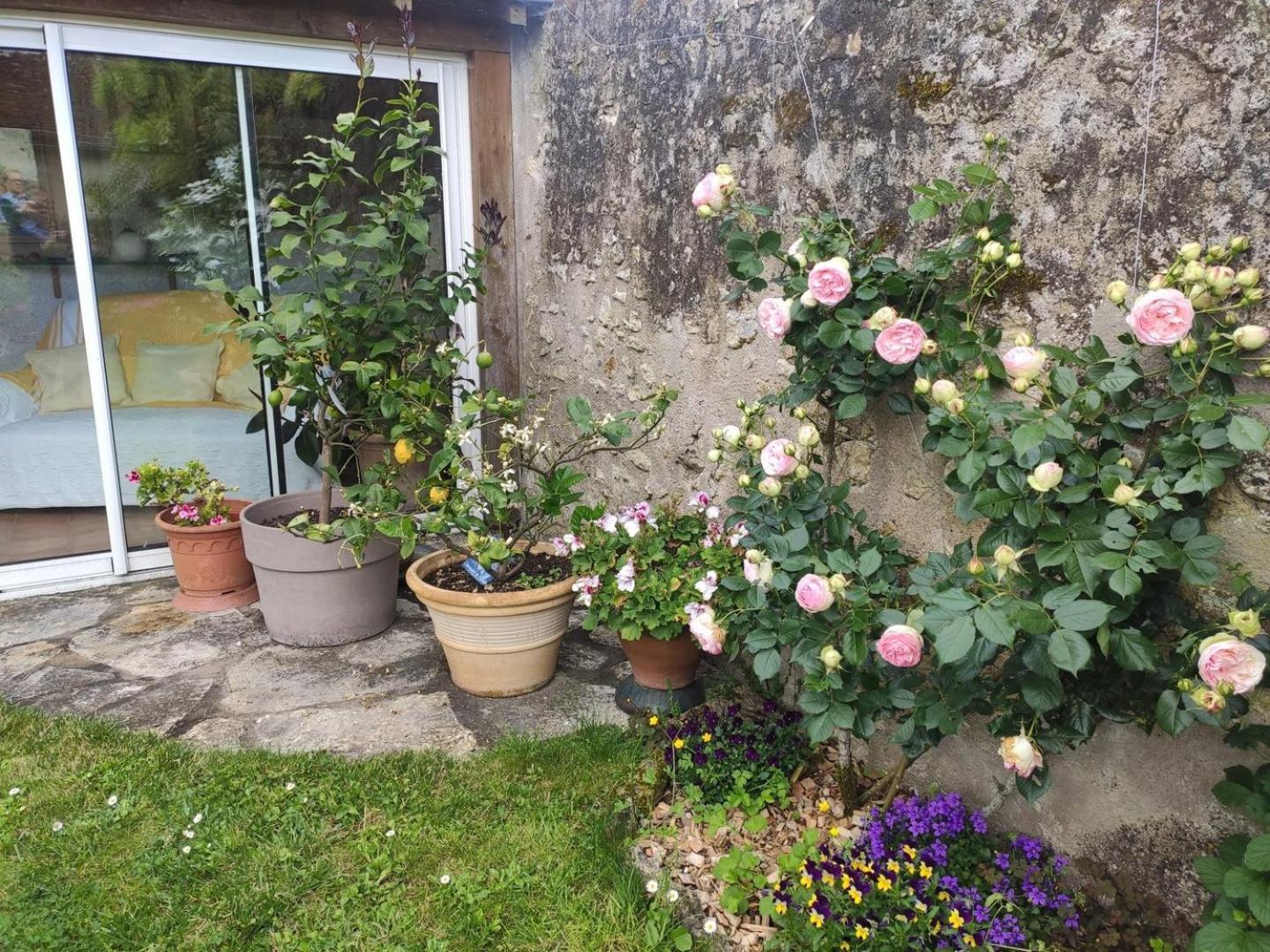 Le Relais De L'Ormeau - Charmant Gite Pour 4 Pers. Lussault-sur-Loire エクステリア 写真