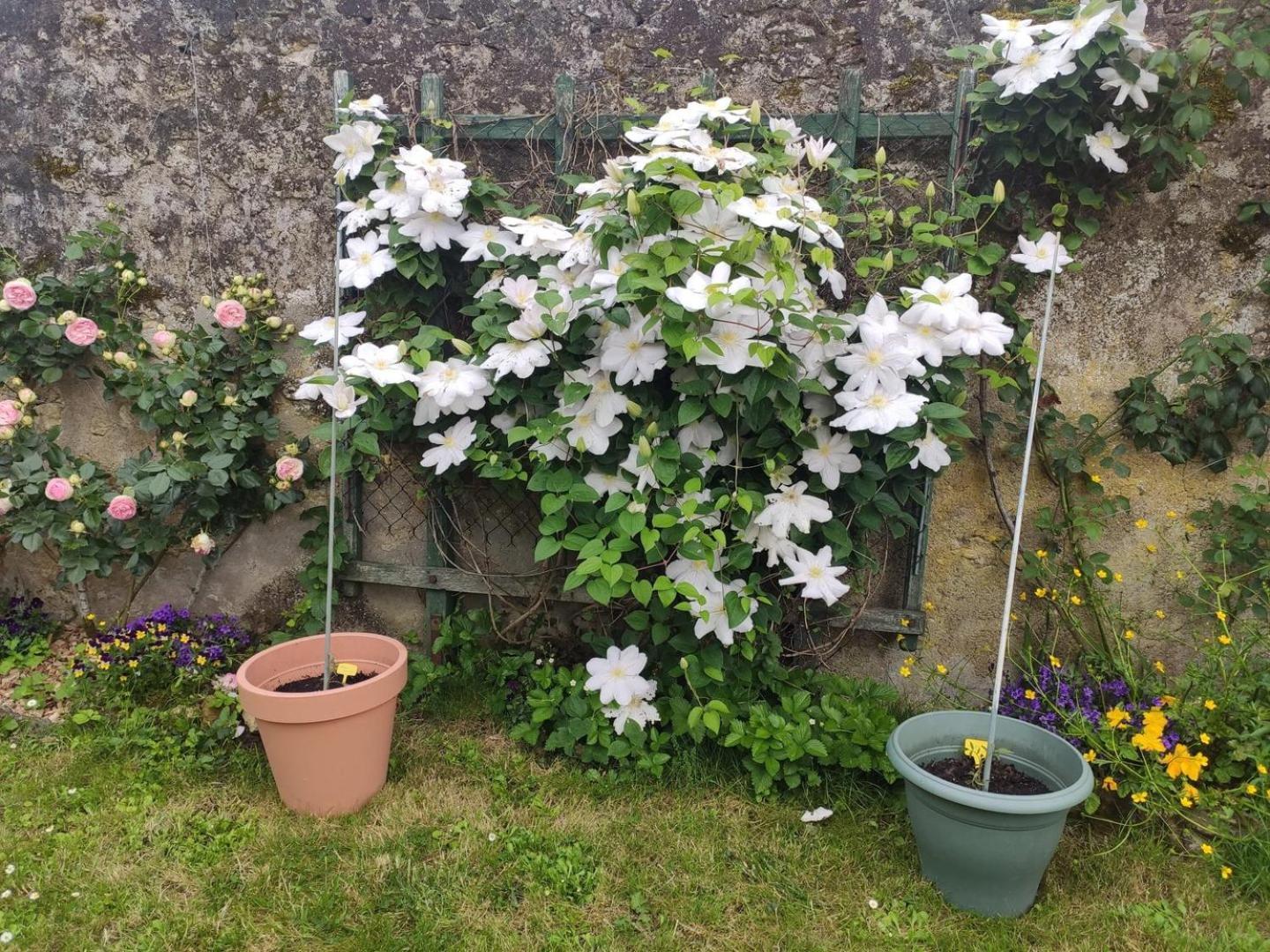 Le Relais De L'Ormeau - Charmant Gite Pour 4 Pers. Lussault-sur-Loire エクステリア 写真